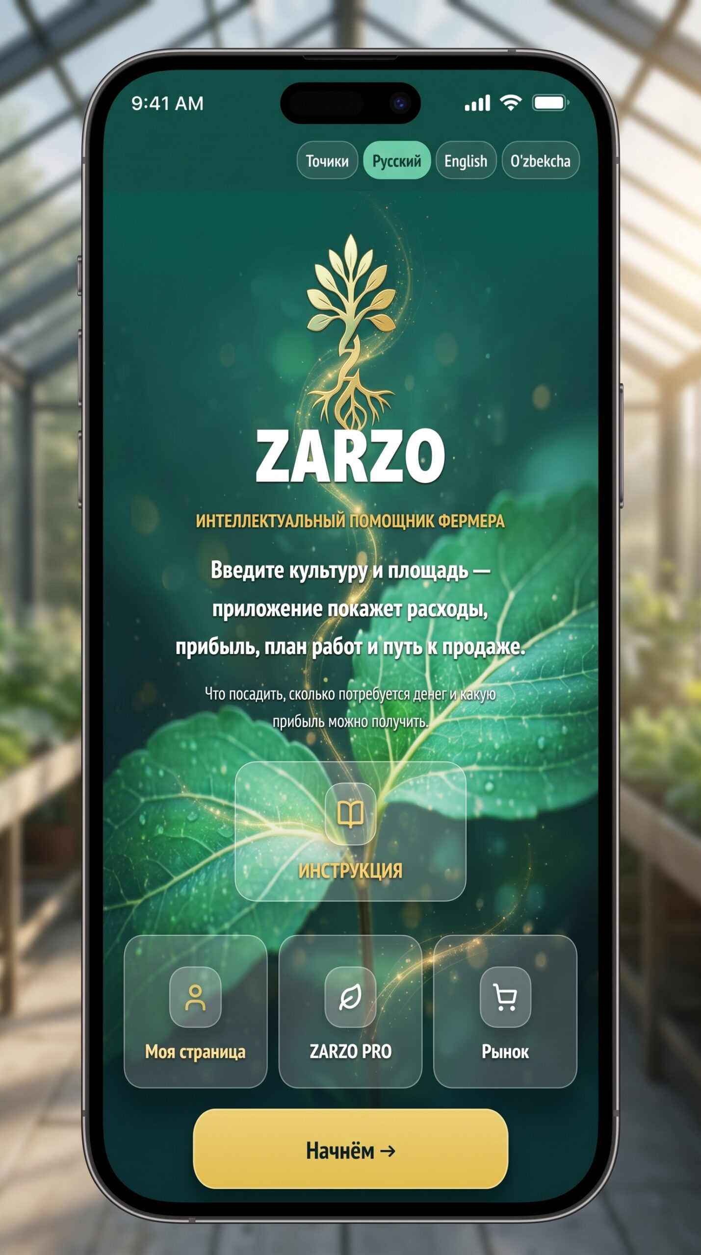 zarzo